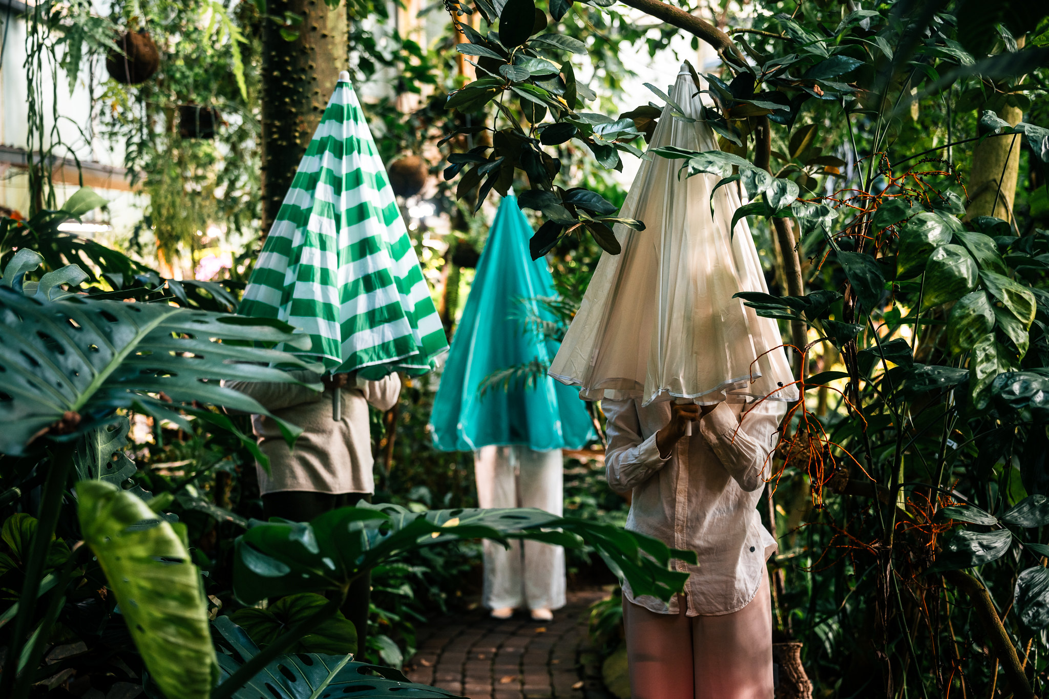 Three persons under closed parasols surrounded by tropical plants